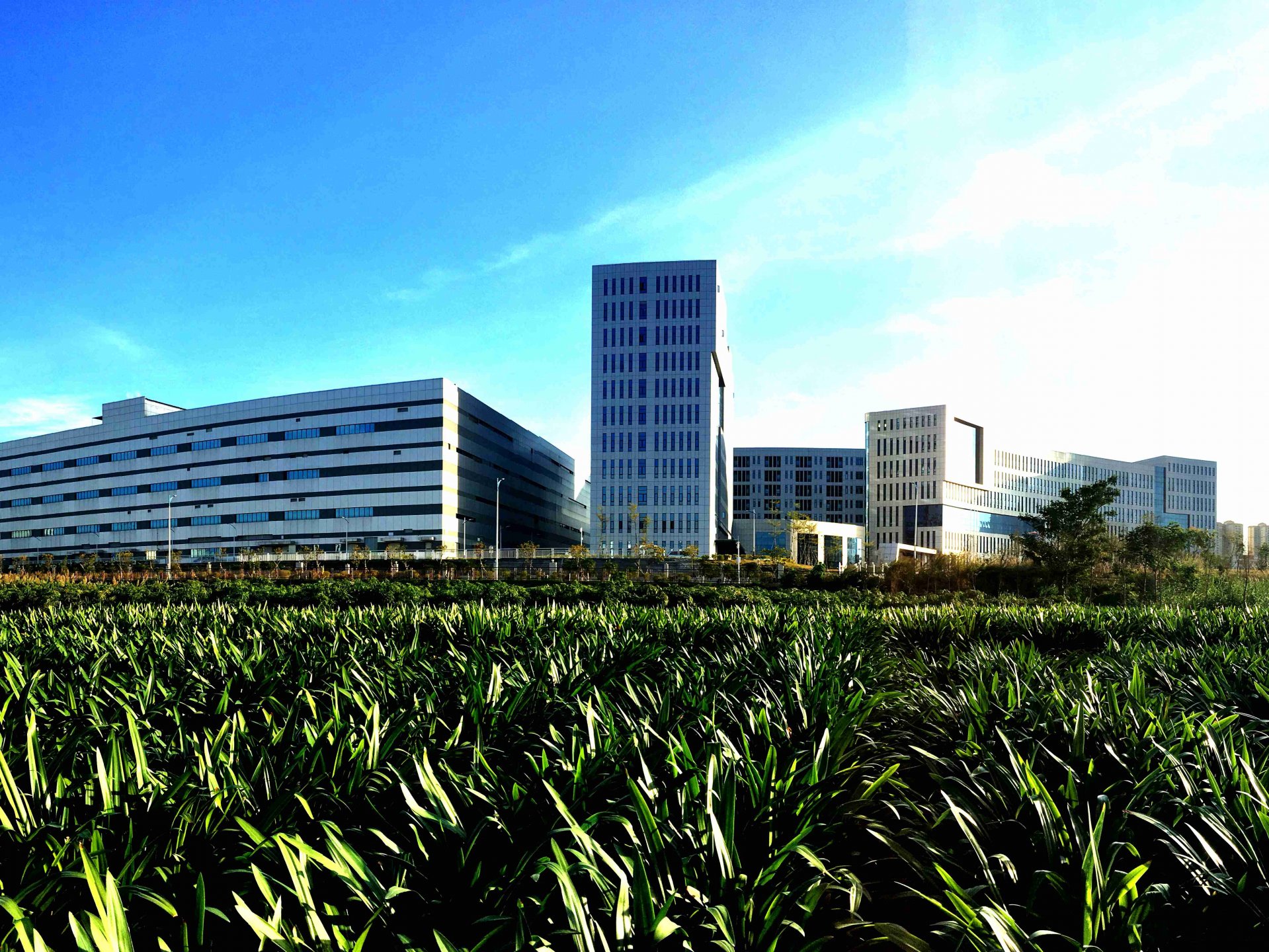 1689657188043062729.jpg 化学制药板块布局于中国药品市场最具用