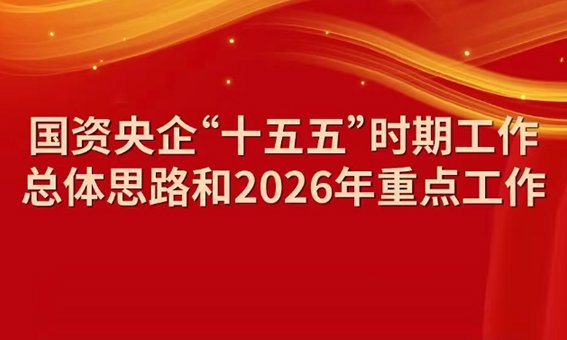 中央飞艇精准计划人工版下载新手怎么玩