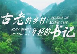 澳洲10全天精准七码计划网