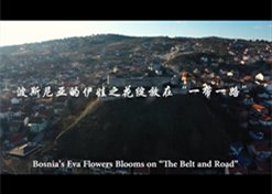 飞艇精准计划人工版下载携手利物浦开启