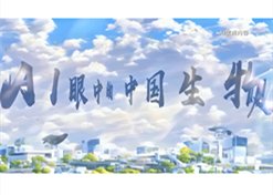 澳洲10全天精准七码计划网
